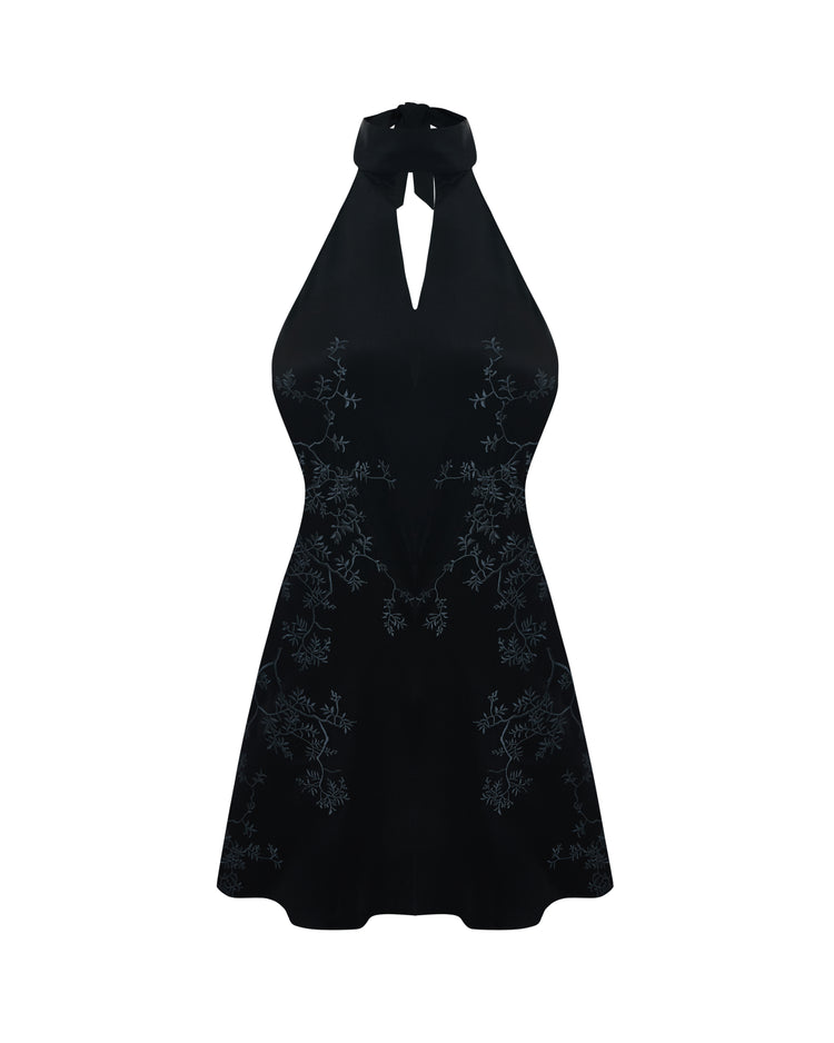 Embroidered Mini Dress