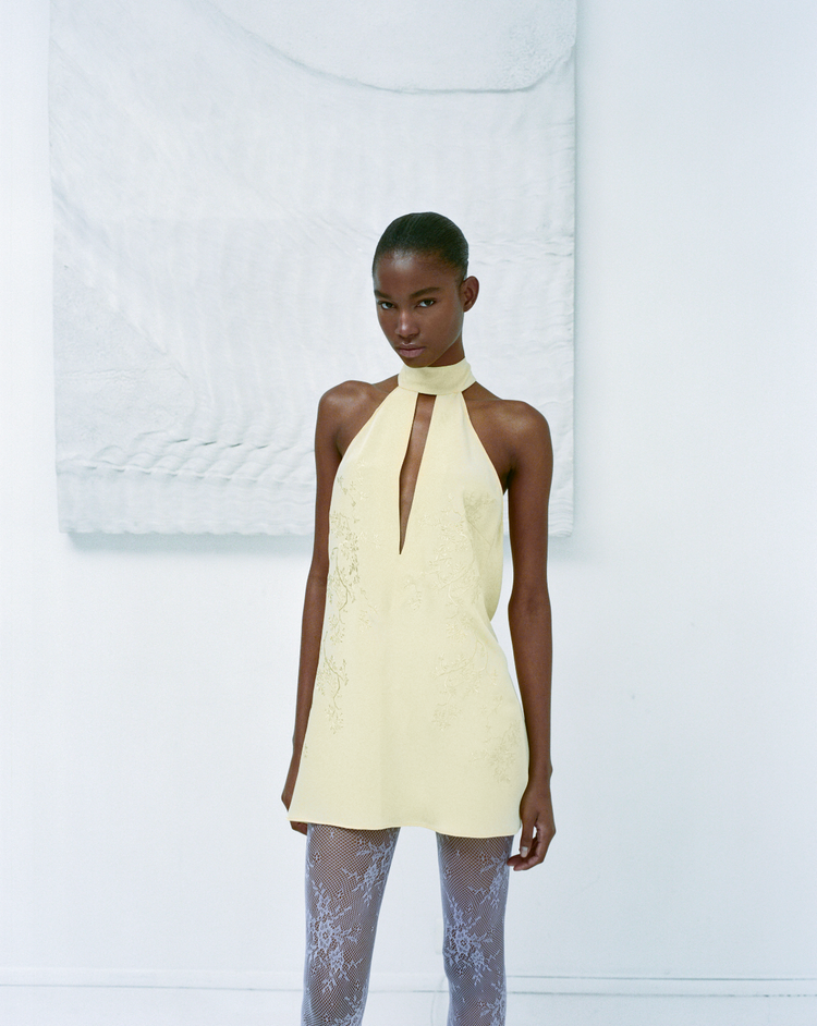 Embroidered Mini Dress